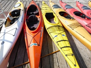 Enjoy a fun day of kayaking with family in the town of Corvallis. 